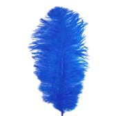Strucctoll 55-60 cm - ROYAL BLUE